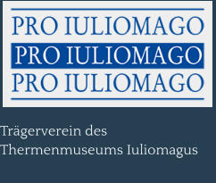 Trägerverein des Thermenmuseums Iuliomagus
